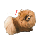 ふわふわのおともだちさんから（個別スタンプ：6）