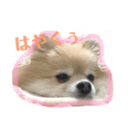 ふわふわのおともだちさんから（個別スタンプ：7）
