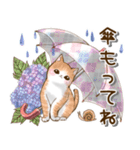 梅雨と夏の日常会話♡猫スタンプ（個別スタンプ：2）