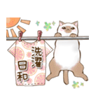 梅雨と夏の日常会話♡猫スタンプ（個別スタンプ：16）