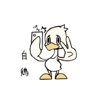 タンクトップ鳥 ぷぴ（個別スタンプ：13）