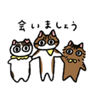 ねこにゃんトリオ（個別スタンプ：30）