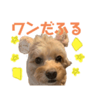 琥珀の口癖スタンプ（個別スタンプ：2）