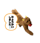 琥珀の口癖スタンプ（個別スタンプ：16）
