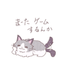 夏に使えるねこスタンプ（ラグドール）（個別スタンプ：22）