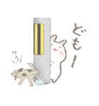 基本のとんぺい ver.2（個別スタンプ：3）