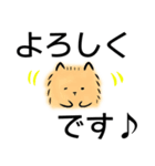 でか文字/かわいいワンコ/挨拶（個別スタンプ：3）