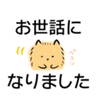 でか文字/かわいいワンコ/挨拶（個別スタンプ：27）