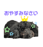 ひじきとなのちゃん（個別スタンプ：3）
