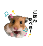 ひじきとなのちゃん（個別スタンプ：4）