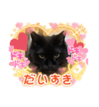 黒猫リリィースタンプ（個別スタンプ：7）