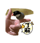 しょうたとキューちゃんスタンプ（個別スタンプ：6）