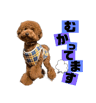 ぽーちゃんのスタンプ♡（個別スタンプ：8）