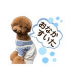ぽーちゃんのスタンプ♡（個別スタンプ：10）