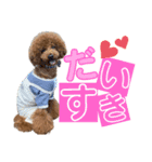 ぽーちゃんのスタンプ♡（個別スタンプ：11）