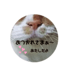 肉球だぞ！（個別スタンプ：7）