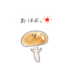 シンプル なめこ 日常会話（個別スタンプ：1）