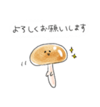 シンプル なめこ 日常会話（個別スタンプ：19）