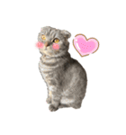 ぽこぽこねこすたんぷ⑦（個別スタンプ：2）