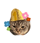 ぽこぽこねこすたんぷ⑦（個別スタンプ：5）
