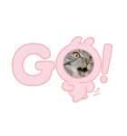 ぽこぽこねこすたんぷ⑦（個別スタンプ：7）