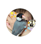 こっことしょうたスタンプ（個別スタンプ：19）