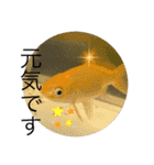 こっことしょうたスタンプ（個別スタンプ：27）
