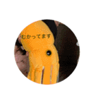 こっことしょうたスタンプ（個別スタンプ：30）