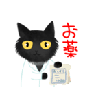 薬剤師猫みのしけくんのご挨拶 2（個別スタンプ：1）