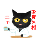 薬剤師猫みのしけくんのご挨拶 2（個別スタンプ：3）