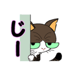 保護猫のレオ君（個別スタンプ：4）