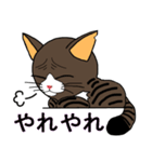 保護猫のレオ君（個別スタンプ：11）
