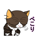 保護猫のレオ君（個別スタンプ：18）