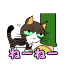 保護猫のレオ君（個別スタンプ：20）