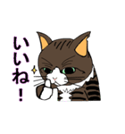 保護猫のレオ君（個別スタンプ：24）