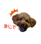 こむーたに（個別スタンプ：1）