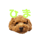 こむーたに（個別スタンプ：2）
