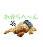 こむーたに（個別スタンプ：5）