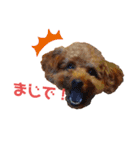 こむーたにえん2（個別スタンプ：1）