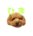 こむーたにえん2（個別スタンプ：2）