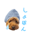 こむーたにえん2（個別スタンプ：10）