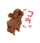 こむーたにえん2（個別スタンプ：12）