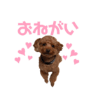こむーたにえん2（個別スタンプ：13）