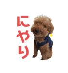 こむーたにえん2（個別スタンプ：14）
