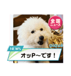 ピケその6（個別スタンプ：8）