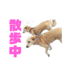 きなこ＆もなかの日常7（個別スタンプ：4）