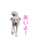 きなこ＆もなかの日常7（個別スタンプ：32）