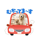 ローラとクレア1（個別スタンプ：8）