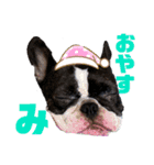 ペロスタ2022（個別スタンプ：13）