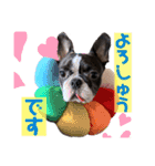 ペロスタ2022（個別スタンプ：16）